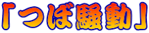 「つぼ騒動」